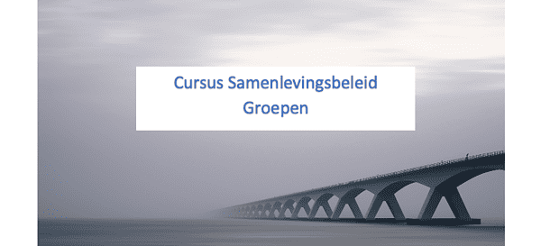 Cursus Samenlevingsbeleid Groepen